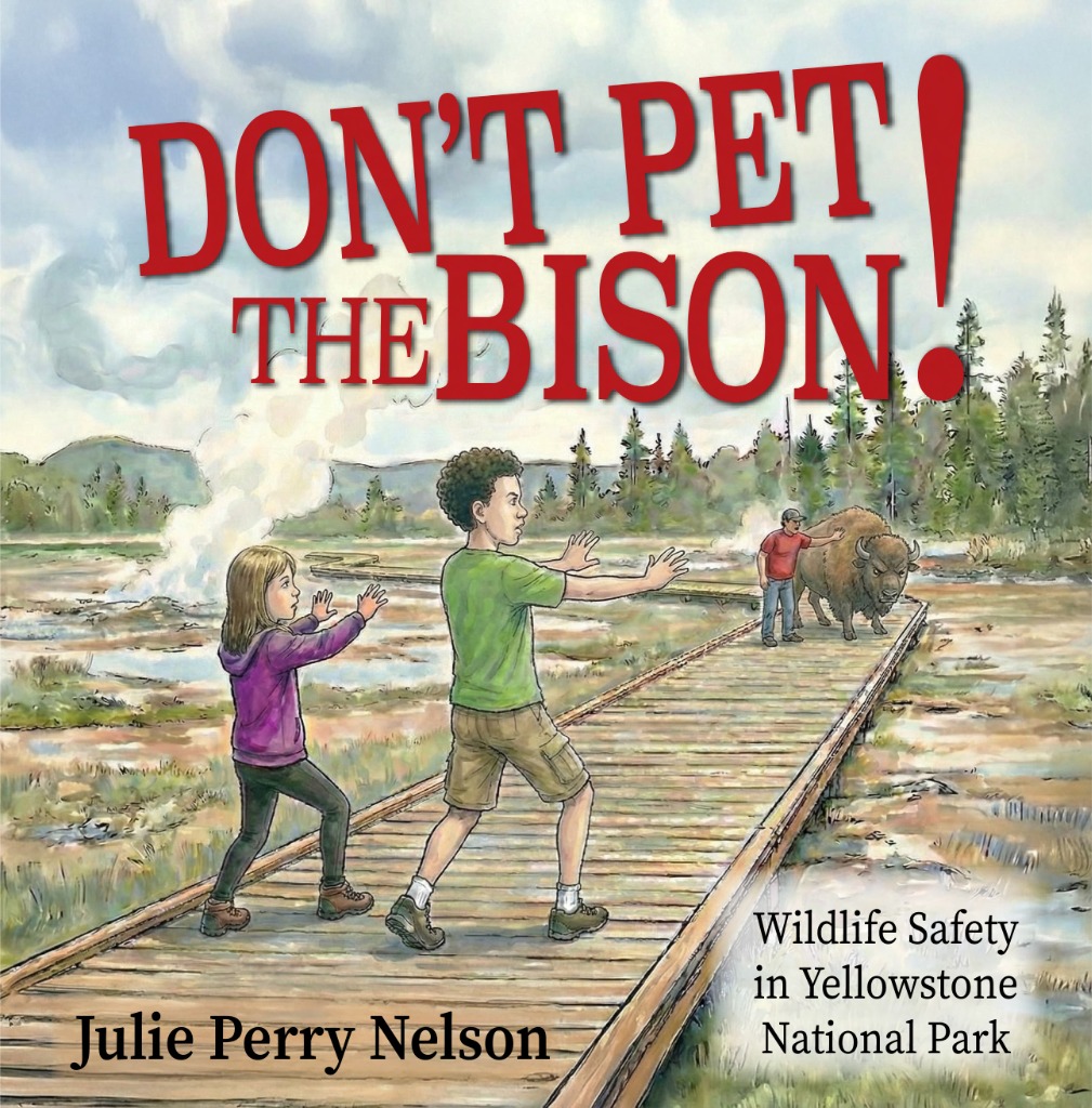 Don't Pet the Bison